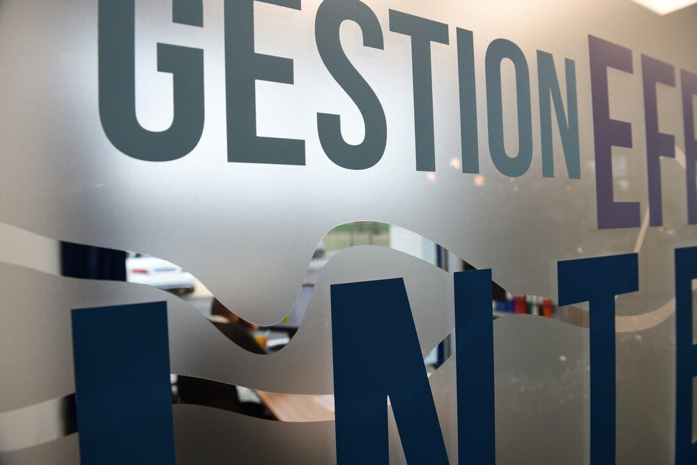 Gestion et organisation